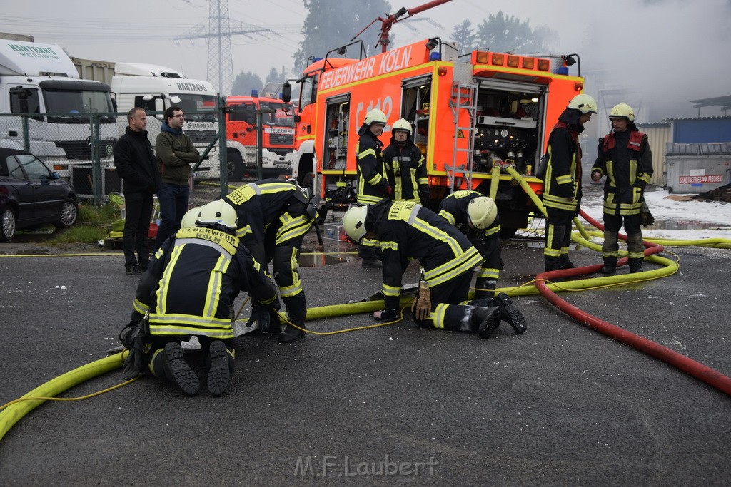 Feuer 3 Rheinkassel Feldkasseler Weg P1721.JPG - Miklos Laubert